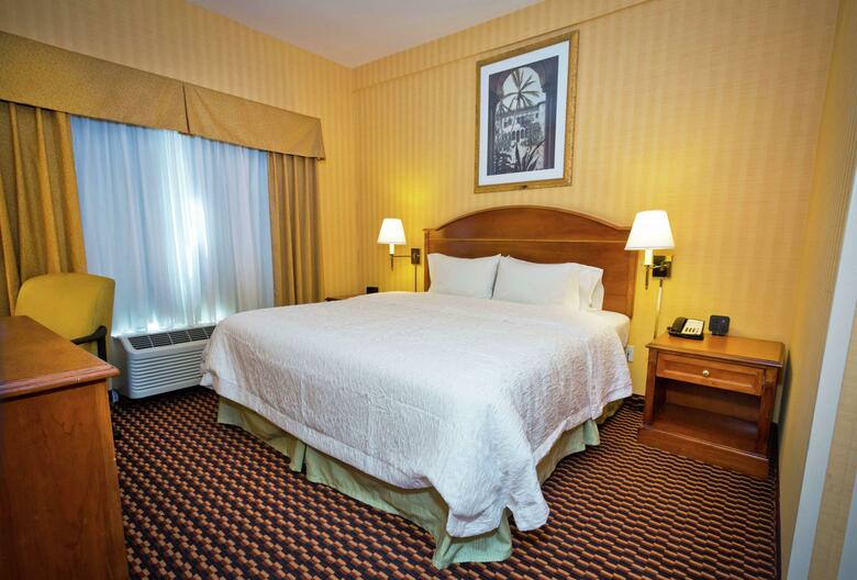 Hotel Hampton Inn & Suites Sacramento-auburn Blvd. Ca