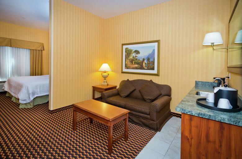 Hotel Hampton Inn & Suites Sacramento-auburn Blvd. Ca