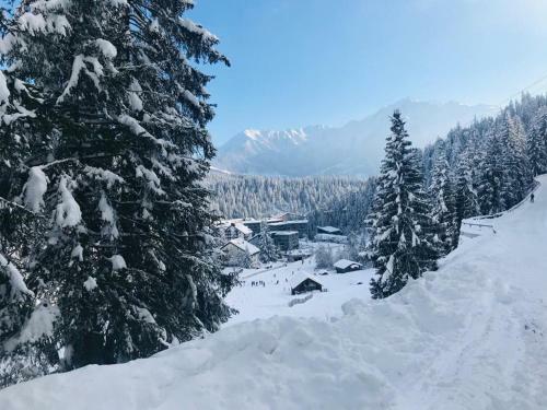 Laax Rancho Studio Apartment