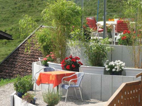 Hotel Gravas