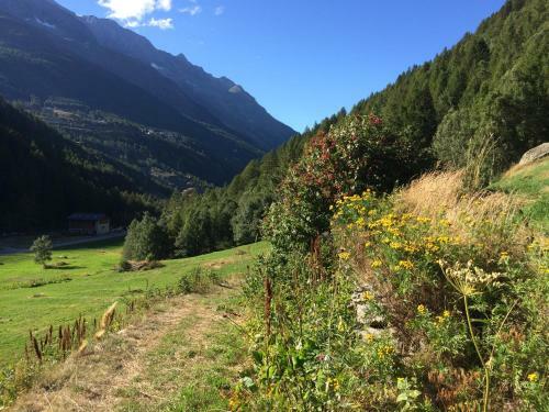 Apartamentos Chalet Sunstar