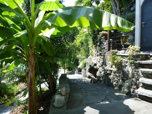 Apartamento Casa Chatelain