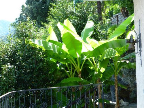 Apartamento Casa Chatelain