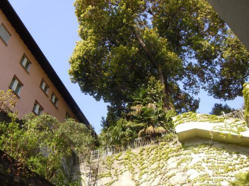 Hotel Nassa Garni