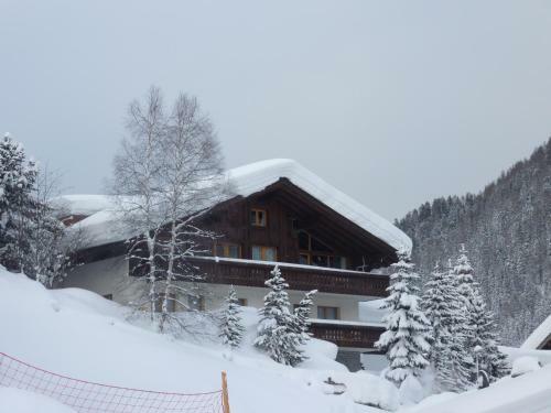 Apartamentos Patschei Trid
