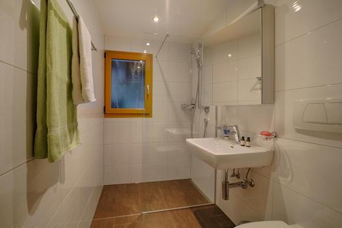 Apartamentos Patschei Trid