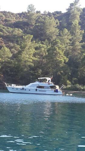 Lagoon-boat