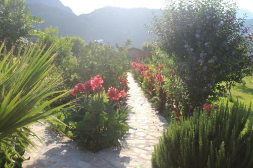 Cirali Almira Bungalow