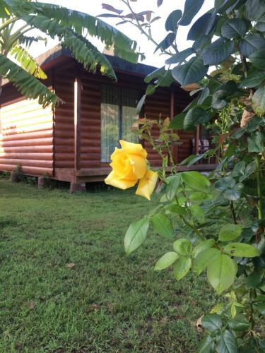 Cirali Almira Bungalow