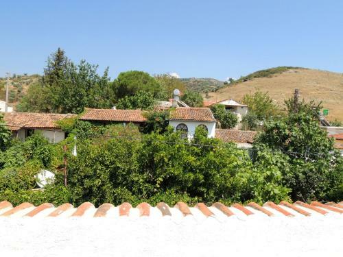 Bed & Breakfast Villa Dreams