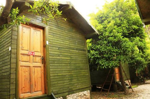 Bed & Breakfast Olympos Zeytin