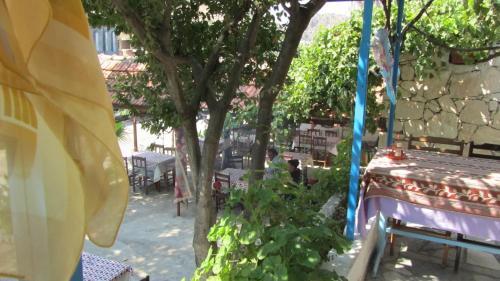 Albergue Ali Baba Pension