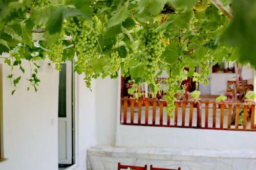 Hostal Sulo Pension