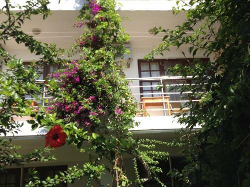 Bed & Breakfast Sidemara
