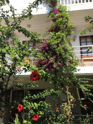 Bed & Breakfast Sidemara