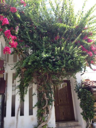 Bed & Breakfast Sidemara
