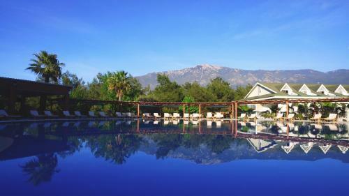 Green Forest Hotel