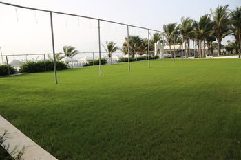 Hotel Coco Ocean Resort & Spa