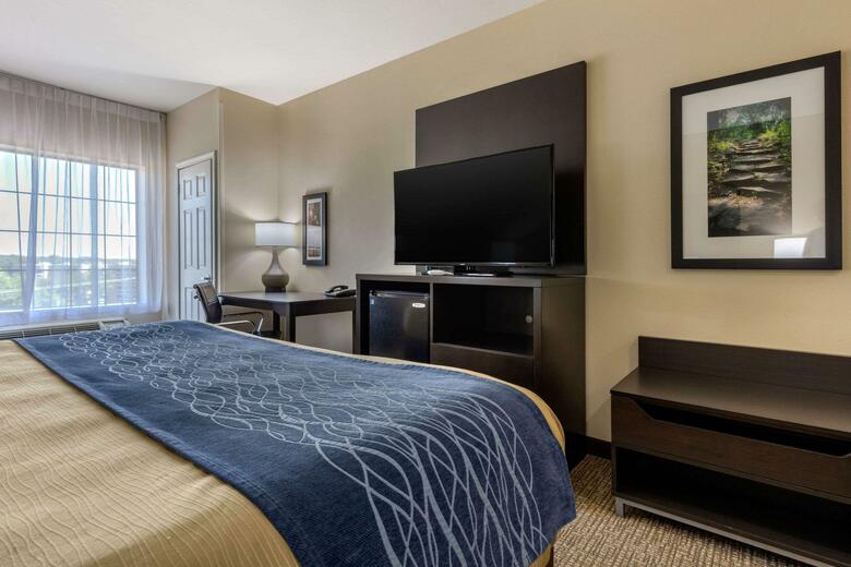 Hotel Comfort Inn And Suites (Little Rock)