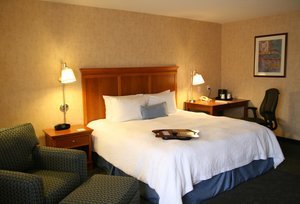 Hotel Springhill Suites By Marriott San Diego Mission Valley