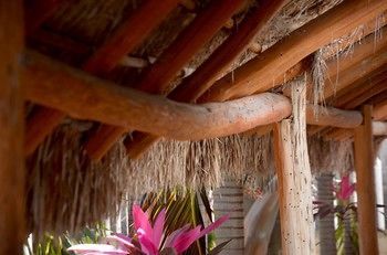 Apartamentos Casa Frida Holbox