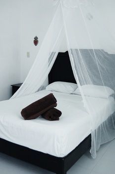 Apartamentos Casa Frida Holbox