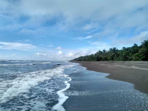 Hostal Paisajes Del Tortuguero