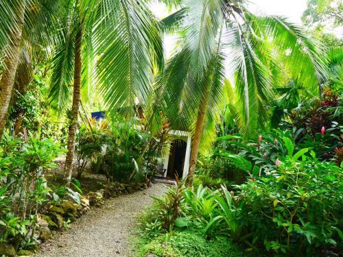 Lodge Cabinas Tito