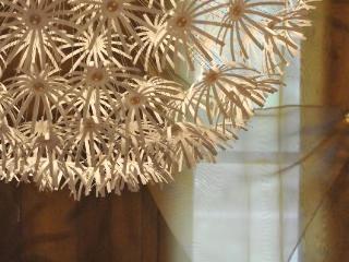 Bed & Breakfast B B Poggio Del Drago