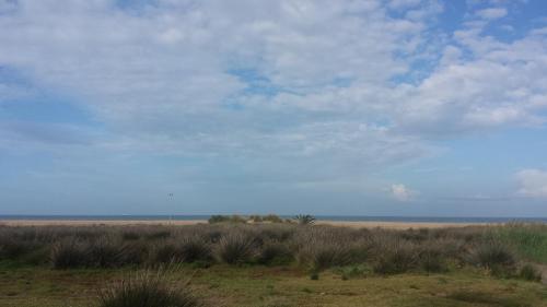 Hostal Brisas De Conil