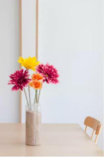 Apartamento Plaza Merida