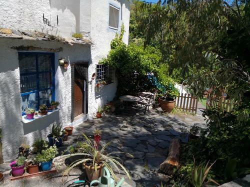 Agroturismo Cortijo Buena Vista