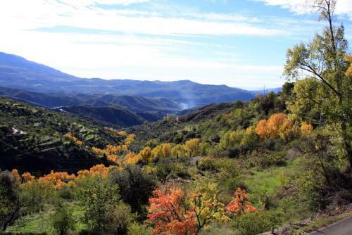 Agroturismo Cortijo Buena Vista