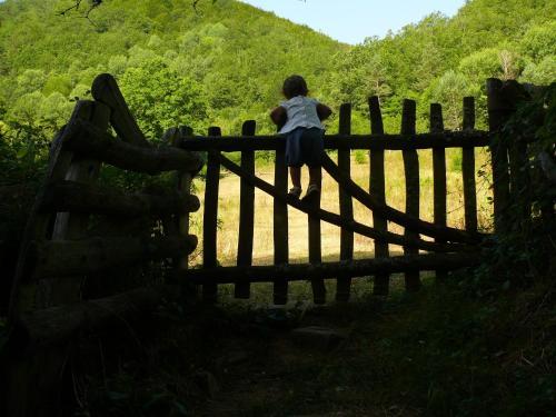 Hostal Pension Txiki