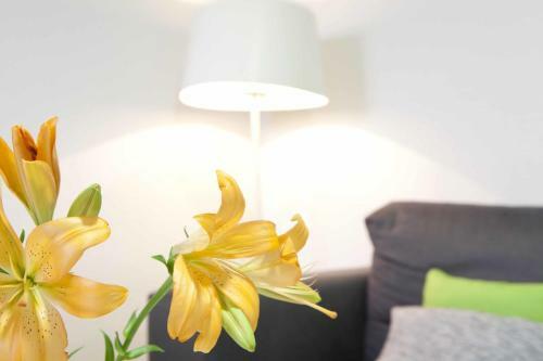 Apartamentos Kasa25 Loft 308