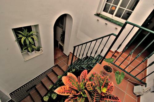 Apartamentos Villa Carabeo Playa