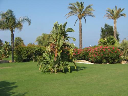 Apartamento Venavera Playa Jardines E1-0c