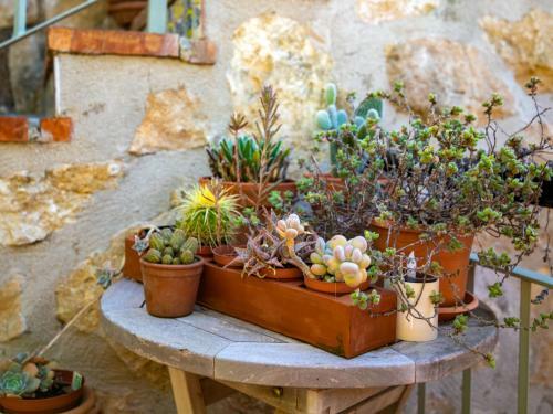 Holiday Home Petite Fleur