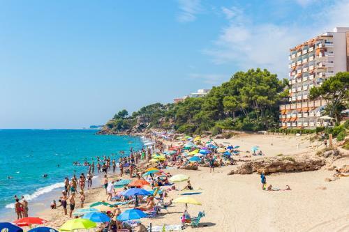 Pino Alto Holiday Homes Petra