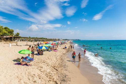 Pino Alto Holiday Homes Petra