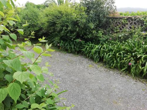 Apartamentos �scar Valle