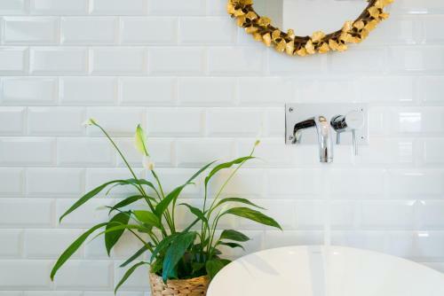 Apartamento Corall