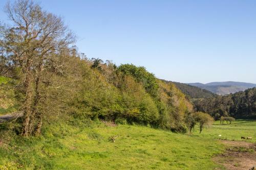 Agroturismo Casa Das Fiadeiras De Nemi�a