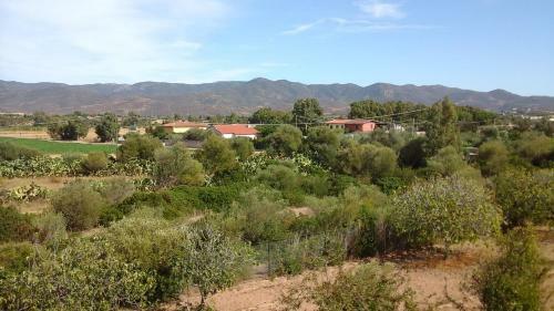 Bed & Breakfast Villa Renzo E Lucia
