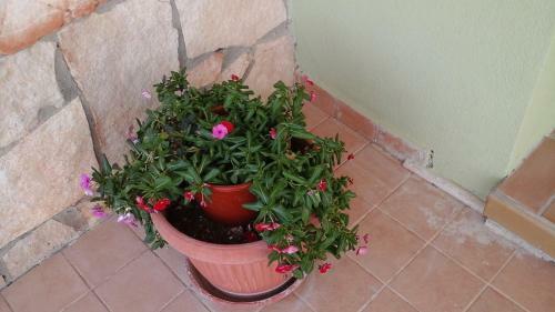 Bed & Breakfast Villa Renzo E Lucia