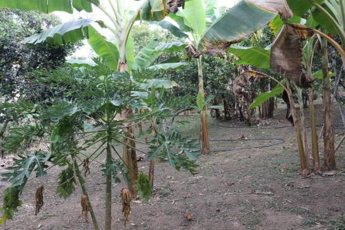 Agroturismo Finca La Lorenza