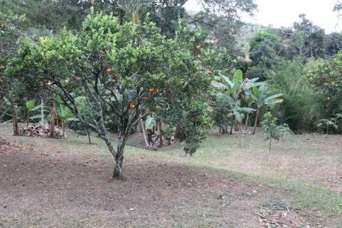 Agroturismo Finca La Lorenza
