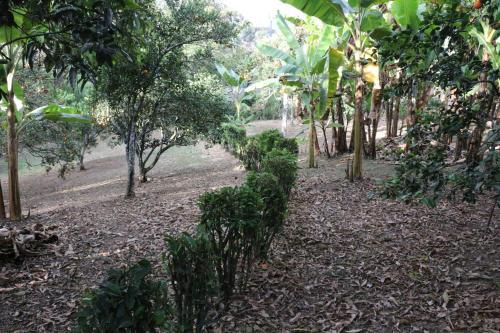 Agroturismo Finca La Lorenza