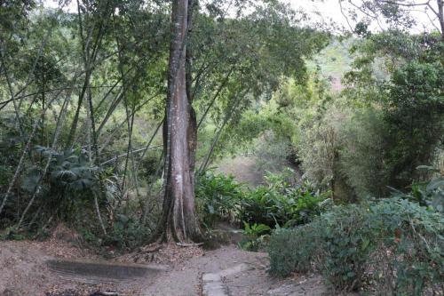 Agroturismo Finca La Lorenza