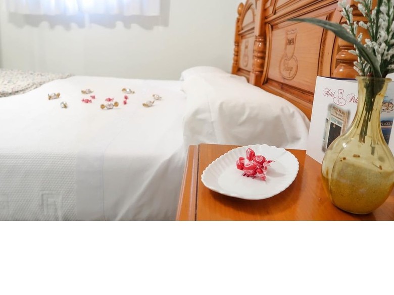 Hotel Pelayo Noja